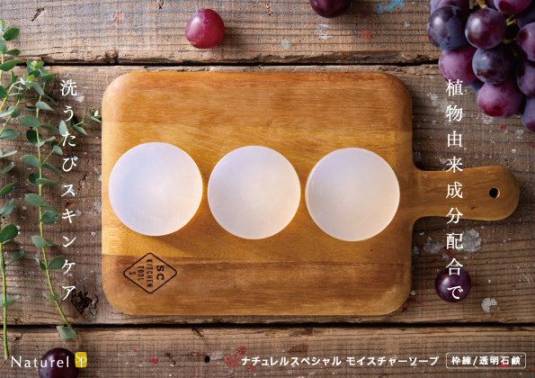 モイスチャーソープ パンフレット<br>(洗顔石けん)